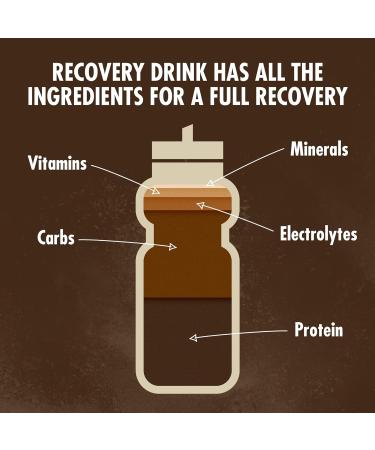 HIGH5 Recovery Drink Whey Protein Isolate Promotes Recovery (Chocolate 450 g) Chocolate 450 g (Pack of 1) - Buy Online on GoSupps.com