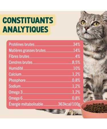 Franklin Sterilized Cat Food Wellness Range with 70% Salmon Grain Free Hypoallergenic Skin and Coat Size 10mm 1 kg - Buy Online on GoSupps.com