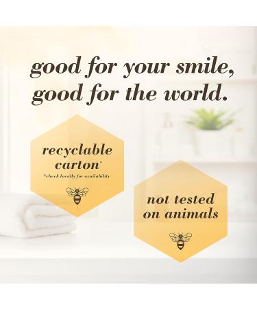 Burt s Bees Bamboo Toothbrush with Charcoal Infused Bristles Soft 1 Count Charcoal Toothbrush - Buy Online on GoSupps.com