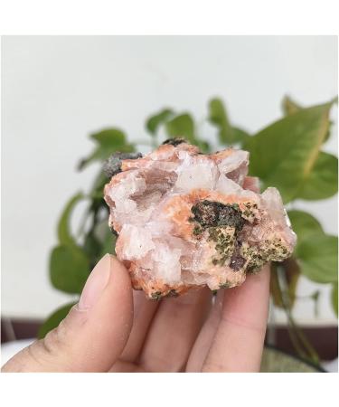 Natural Crystal Rough Rare Natural Raw India Zeolite Cluster Irregular Rough Stone Crystal Rock Ornaments Specimen Reiki Decor PEIQIYIN (Size : 45-50g) - Buy Online on GoSupps.com