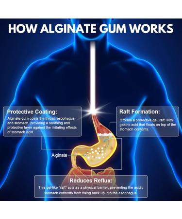 QUBIT Reflux Chewing Gum Sodium Alginate Bicarbonate Gum for Acid Reflux Heartburn Indigestion & Nausea Taste Well Gourmet Raft Barrier on Stomach Sugar-Free Vegan 60 Pieces - Buy Online on GoSupps.com