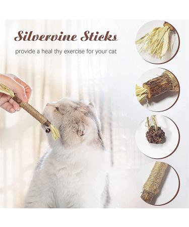 Organic Cat Mint Sticks - 6PCS Dental Toys for Cats | Chew & Clean Cat Sticks | Kaust Sticks for Healthy Teeth - Buy Online on GoSupps.com