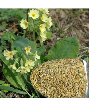 Krauterino24 - Primroses with calyx cut quantity: 250g