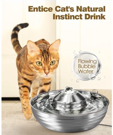 Stainless Steel Cat Water Fountain 2L/67oz - Quiet & Low Noise Design for Multiple Pets - Sliver - Buy Online on GoSupps.com