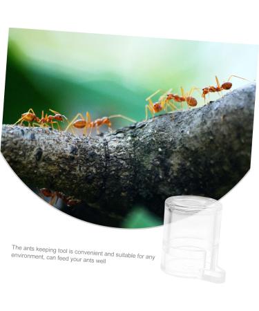 Balacoo 5pcs pet Water Feeder ant Workshop ant Habitat Science ant Castle ant Feeder for ant Farm ant - Buy Online on GoSupps.com