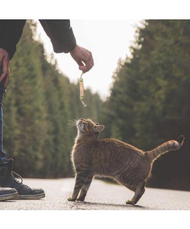 Simsky Catnip Sticks - 6 Natural Cat Toys for Endless Fun | International Shipping Available - Buy Online on GoSupps.com