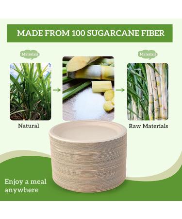 140 Pieces Compostable Paper Plates 10 inch Heavy Duty Disposable Plates Eco-Friendly 100% Bagasse Natural Biodegradable Sugarcane Bagasse Plates for Party Dinner Birthday - Buy Online on GoSupps.com