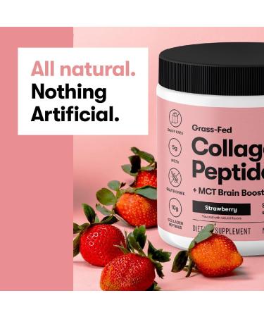 Perfect Keto Collagen Peptides Protein Powder with MCT Oil - Chocolate | Non-GMO Grassfed Supplement for Men & Women - Buy Online on GoSupps.com
