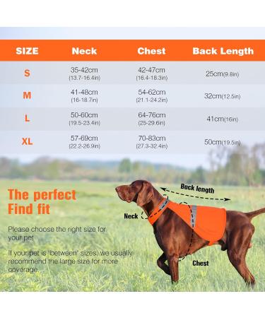 Reflective Dog Vest | High Visibility Safety Vest for Dogs | Outdoor Activity & Training Jacket for Small, Medium, Large Dogs - Buy Online on GoSupps.com