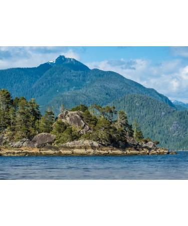 Lais Puzzle Bay near Tofino on the west coast of Vancouver Island on the northern edge of the Pacific Rim National Park Reserve British Columbia. Canada 500 pieces - Buy Online on GoSupps.com
