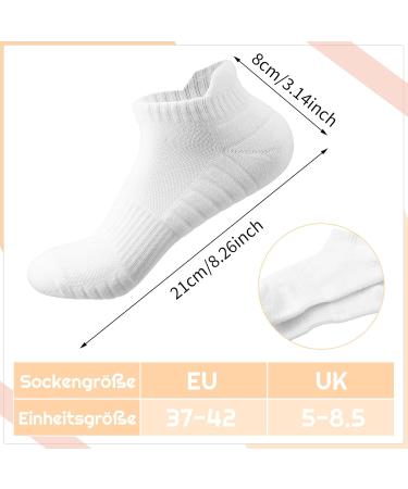 Yamitora 5 Pairs Sneaker Socks for Men & Women (Sizes 37-42) - Cotton Sports & Running Socks for Leisure - White - Buy Online on GoSupps.com