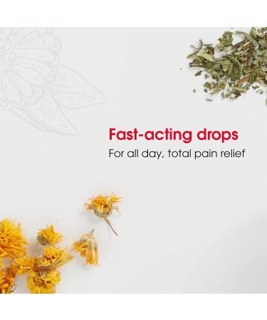 MediNatura T-Relief Pain Relief Drops - Arnica & 12 Plant-Based Relievers - 1.69 oz - Buy Online on GoSupps.com
