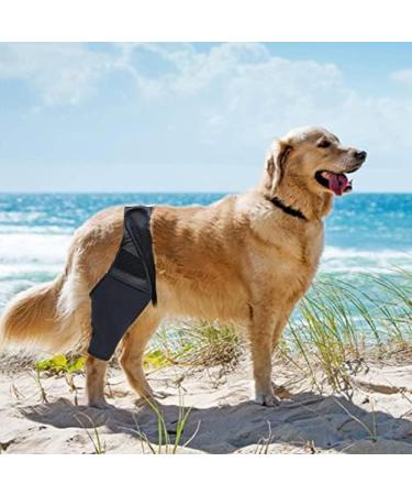Dog Leg Bracket Pet Dog Leg Support Bracket Dog Hind Leg Protection Device Adjustable Knee Bracket Leg Bracket Dog Arthritis Bracket for Dog Hind Leg Rehabilitation S - Buy Online on GoSupps.com