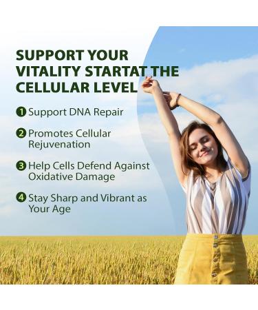 Liposomal NAD+ Resveratrol Supplement 1300mg High Bioavailable Trans Resveratrol ResUP10 with Extra Strength NAD Plus Support Aging Cardiovascular Health and Cellular Energy 60 Capsules free 60 Count (Pack of 1) - Buy Online on GoSupps.com