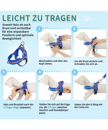 Eyein No-Pull Dog Harness with Leash | Reflective Adjustable Soft Padded for Puppies Small & Large Dogs | Dark Blue Size S - Buy Online on GoSupps.com