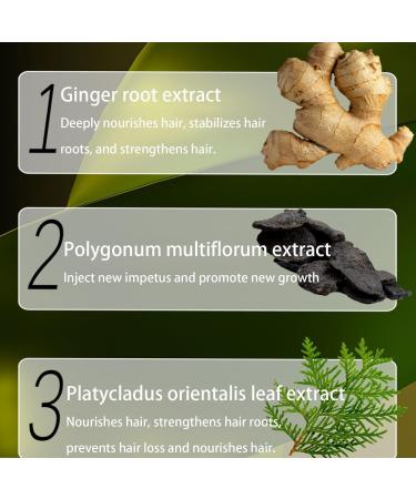 Ginger Plant Extract Anti-Hair Loss Hair Shampoo Ginger Plant Anti-Hair Loss Hair Shampoo Anti-Hair Loss And Hair Strengthening Shampoo Ginger Shampoo For Hair Growth - Buy Online on GoSupps.com