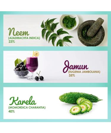 GARDEN OF NUTRITION Herbal and Ayurvedic Neem Karela Jamun Juice 500ml - Buy Online on GoSupps.com