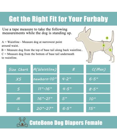 Cuteebone Washable Dog Diapers for Bitches | 3 Reusable High-Suction Diapers for Dogs | Rose Red & Lila | Size L (51-68.5cm) - Buy Online on GoSupps.com