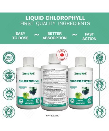 Liquid Chlorophyll Apple 500ml Cold Extracted from Non-GMO Alfalfa - Detox - Alkaline - Natural Body Deodorant Antioxidant - Made in Canada - Buy Online on GoSupps.com