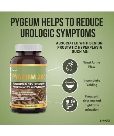 Herba Pygeum Supplement 200mg 100 Capsules | Standardized to 13% Phytosterols | Pygeum Africanum as Prostate Supplement for Men | Made in Canada - Buy Online on GoSupps.com