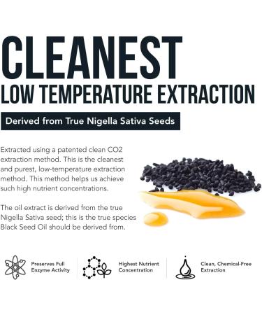 Black Seed Oil Capsules - 5% Thymoquinone - 500mg per Capsule - Raw Form Vegan - 60 Capsules - Buy Online on GoSupps.com