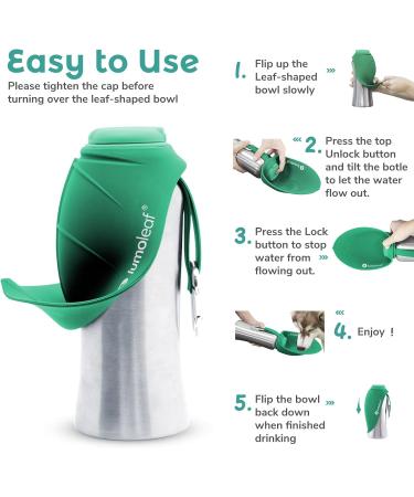 Buy Lumoleaf 800ml Portable Dog Water Bottle - Stainless Steel Travel Accessory for Hiking & Camping (Green) - Buy Online on GoSupps.com