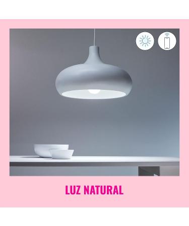 WiZ Connected Daylight High 1600 Lumen 100W A21 Smart WiFi Light Bulb  Dimmable 5000K  Compatible with Alexa and Google Home Assistant  No Hub Required  1 Bulb A21 Daylight (5000k) 1 Count (Pack of 1) - Buy Online on GoSupps.com