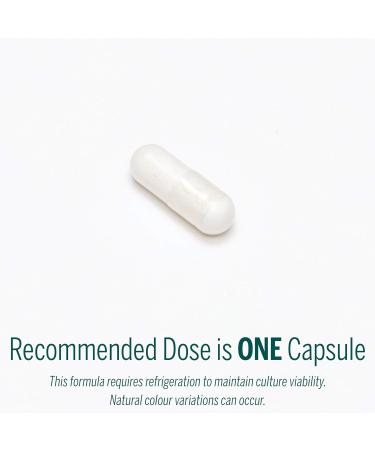 Genestra Brands - HMF Forte - Probiotic Formula - Supports Gastrointestinal Health and the Growth of Beneficial Bacteria - 120 Capsules - Buy Online on GoSupps.com