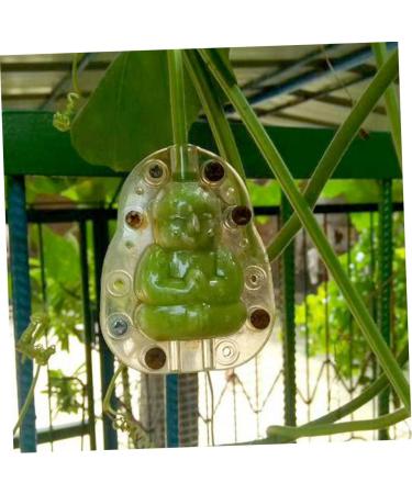 Kisangel 5pcs Vegetable Mold Ginseng Melon Shaping Multi-Function Fruit Mold Gourd Shaper - Buy Online on GoSupps.com