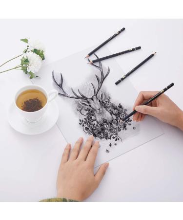 MARKART Professional Drawing Sketching Pencil Set - 14 pc Graphite Kit for Art, Sketching, Shading - Ideal for Beginners & Pro Artists - Buy Online on GoSupps.com