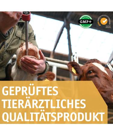 Vetmarkt24 Bolus - MIN - VIT Dry Bolus - Pack of 8 - Dry Cows - Buy Online on GoSupps.com