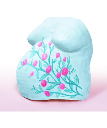Amazy Baby Bump Plaster Print Set - 25-Part 3D Belly Casting Kit with Bandages Colors & Brushes for Unique Keepsakes - Buy Online on GoSupps.com