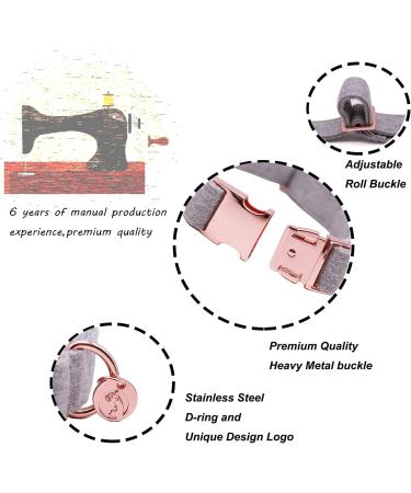 Buy Dogwong Gray Dog Collar with Removable Fly - Comfortable Adjustable Pet Collar for Small & Medium Dogs | Perfect Gift for Girls & Young Dogs (X-Small Pack of 1) - Buy Online on GoSupps.com