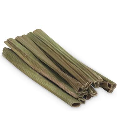 Living World Small Animal Chews - Papaya Stalk Sticks - 10 Pieces - Buy Online on GoSupps.com