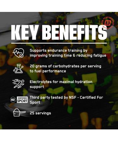 BARE PERFORMANCE NUTRITION BPN G.1.M Sport Fruit Punch 25 Servings + Recover Post-Workout Muscle Recovery Drink Mix Fruit Punch 25 Servings | Endurance Fuel + Recovery Bundle - Buy Online on GoSupps.com