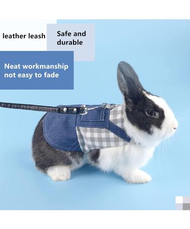 Adjustable Soft Rabbit Dishes & Leash Set - Perfect for Rabbits Cats and Guinea Pigs | Size M Blue - Buy Online on GoSupps.com
