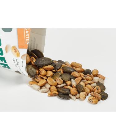 Landgarten Protein-Rich Snack Mix | Roasted & Salted Soybeans Sunflower & Pumpkin Seeds | 50g | Healthy International Shipping - Buy Online on GoSupps.com