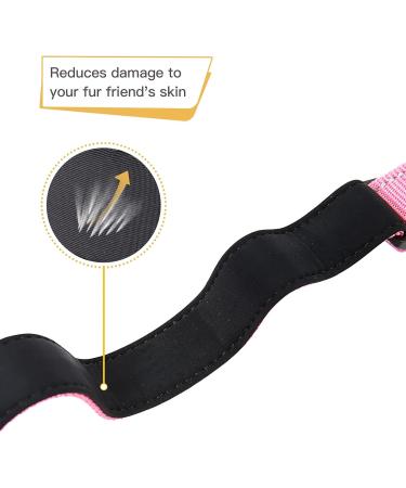Heele Reflective Dog Collar for Small Dogs | Soft Neoprene Padded Nylon Pink XS (20-30 cm) - Buy Online on GoSupps.com