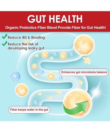 NEVISS Probiotic + Prebiotic Gummies for Adults & Kids 4+, Sugar Free Chewable 50 Billion CFUs w/Fiber, Vitamin B1 B2 D3 & Zinc, for Digestive & Gut Health, Boost Microflora Diversity, 60 Cts 60 Count (Pack of 1) - Buy Online on GoSupps.com