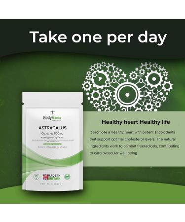 ASTRAGALUS EXTRACT 500mg 60 caps IMMUNE BOOST COLDS FLU vegetarian - Buy Online on GoSupps.com
