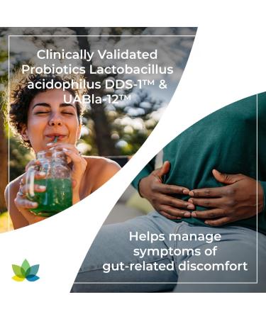 Synergy Holistics | Probiotics Synergy - Supports Digestion Bloating & IBS Relief - Clinically Validated DDS1 Lactobacillus Acidophilus & UABla-12 Probiotic Supplement Superstrains - No Refrigeration - 2 Veg Caps Daily - 120 Capsules - Buy Online on GoSupps.com