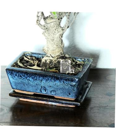 Happyyami Pet Water Feeder Insect Water Feeder Ants Feeding Bowl Insect Feeder Water Bowl for Ants Plastic - Buy Online on GoSupps.com