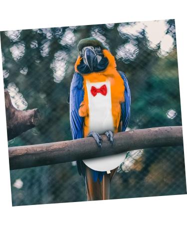 PopetPop Flying Bird Diapers & Costumes | Cotton Duck & Nymphensittich Diapers | Decorative Accessories for Birds - Buy Online on GoSupps.com