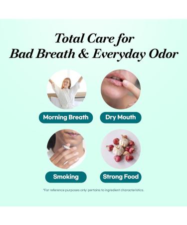 Original Toothpaste (3 Pack Mint) Bad Breath Eliminator for Halitosis & Morning Breath Propolis Natural Whitening(Baking Soda) Xylitol SLS & Paraben Free (3.52fl oz / 100g) Mint 1.17 Fl Oz (Pack of 3) - Buy Online on GoSupps.com