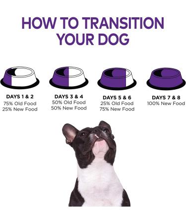 Wellness Thick & Chunky Natural Canned Dog Food - Lamb & Beef Stew, 12.5 oz (Pack of 12) - Buy Online on GoSupps.com