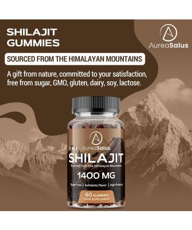 Shilajit Gummies 1400mg Shilajit Supplement with Chaga and Ashwagandha Original from Himalayan with Fulvic & Humic Acid and 85+ Minerals for Energy Immunity & Focus Sugar-Free 120 Gummies 60 count (Pack of 2) - Buy Online on GoSupps.com