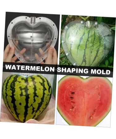LIFKICH Fruit Shaping Molds Fruit Vegetables Shaping Mold Vegetable Molds Vegetable Growth Mold Tool Heart-Shaped Moss 17x17cm Transparent - Buy Online on GoSupps.com
