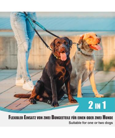 Snocyo Double Dog Leash - Elastic Reflective Retractable for Medium & Large Dogs | Jogging Leash with Handles & Waist Belt in Black & Turquoise - Buy Online on GoSupps.com