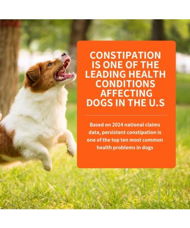 Tauphete Disposable Enema for Cats & Dogs Pet Enema for Constipation Quickly Softens Stool Easy-to-Use Enema Kit for Small Animals Vet Recommended 5 mL(4 Pack) - Buy Online on GoSupps.com