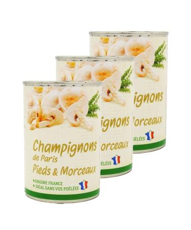 Agidra Lot of 3 button mushrooms stems and pieces - France - 390g box